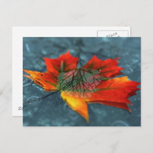 Postkarte (Vorne/Hinten)