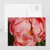 Postkarte (Vorne/Hinten)