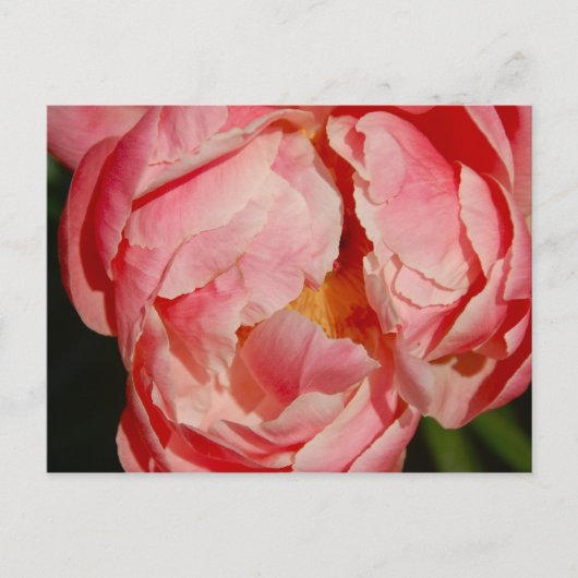 Postkarte (Vorderseite)