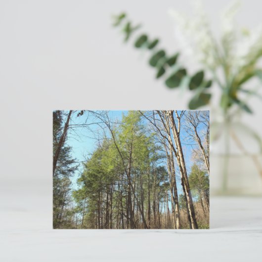 Postkarte (Stehend Vorderseite)