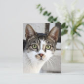 Postkarte (Stehend Vorderseite)