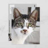 Postkarte (Vorne/Hinten)