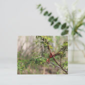 Postkarte (Stehend Vorderseite)