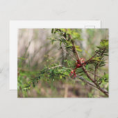 Postkarte (Vorne/Hinten)