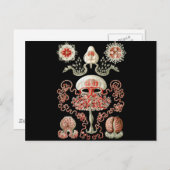 Postkarte (Vorne/Hinten)