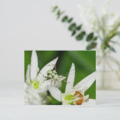 Postkarte (Stehend Vorderseite)