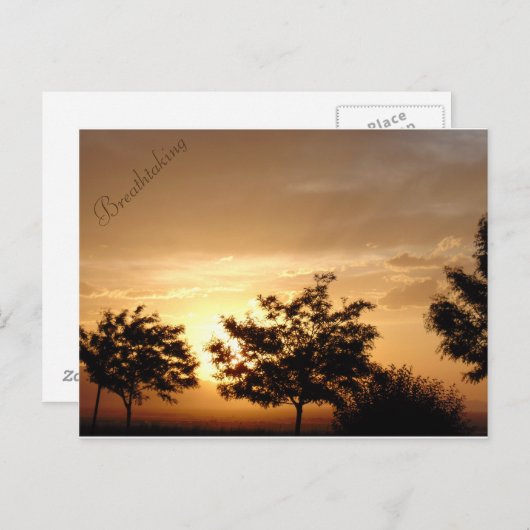 Postkarte (Vorne/Hinten)