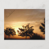 Postkarte (Vorderseite)