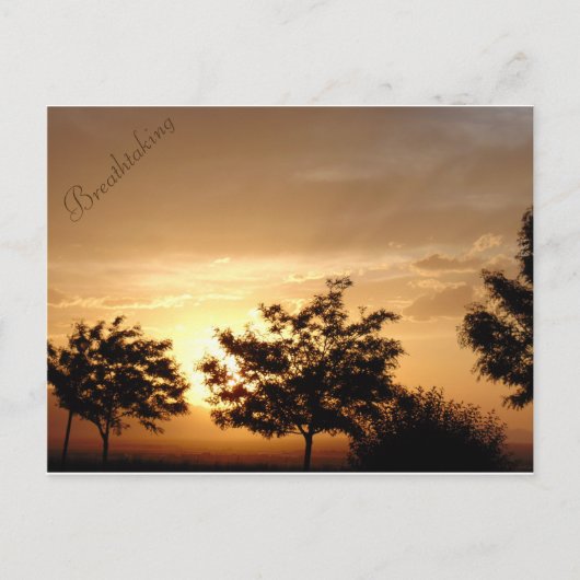 Postkarte (Vorderseite)