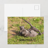 Postkarte (Vorne/Hinten)