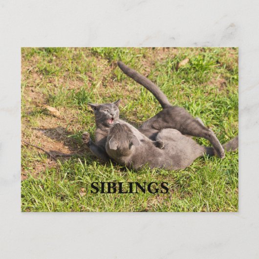 Postkarte (Vorderseite)