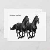 Postkarte (Vorne/Hinten)