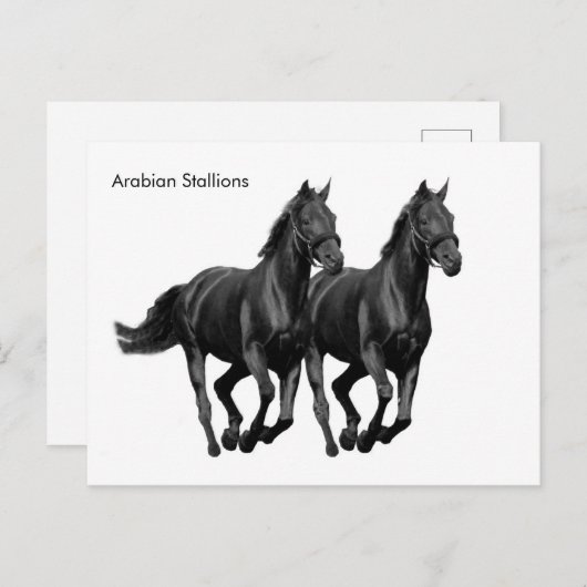 Postkarte (Vorne/Hinten)