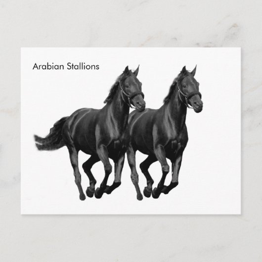 Postkarte (Vorderseite)