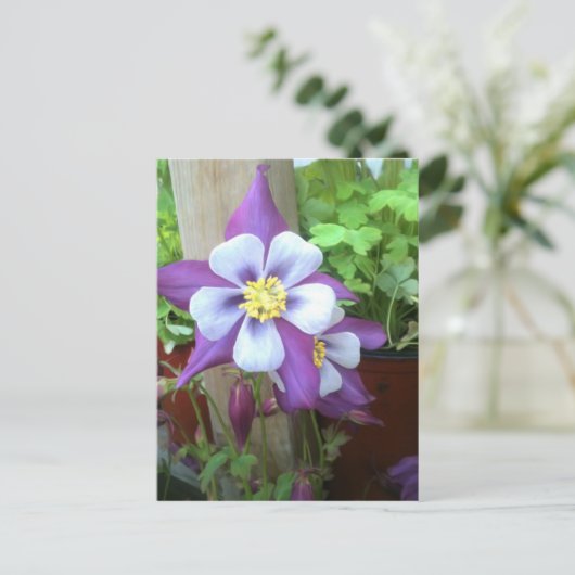 Postkarte (Stehend Vorderseite)