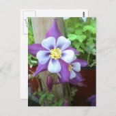 Postkarte (Vorne/Hinten)