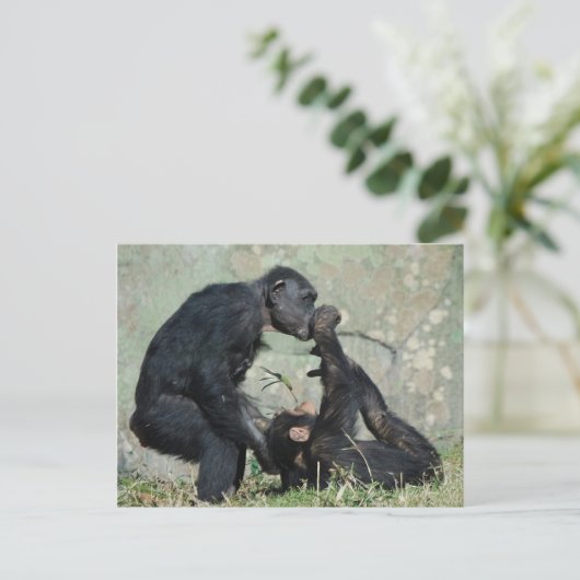 Postkarte (Stehend Vorderseite)