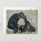 Postkarte (Vorne/Hinten)