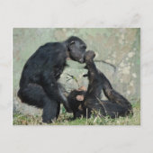 Postkarte (Vorderseite)