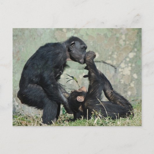 Postkarte (Vorderseite)