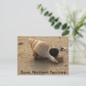 Postkarte (Stehend Vorderseite)