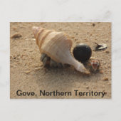 Postkarte (Vorderseite)