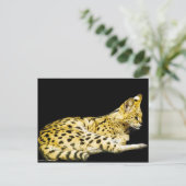 Postkarte (Stehend Vorderseite)