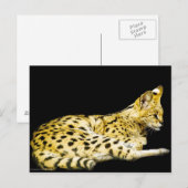 Postkarte (Vorne/Hinten)