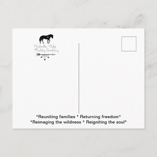 Postkarte (Rückseite)