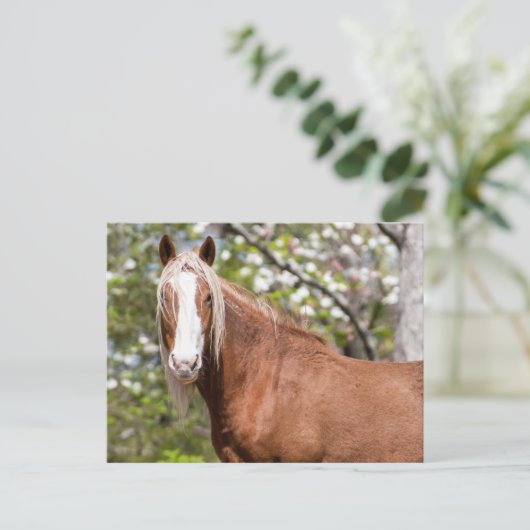 Postkarte (Stehend Vorderseite)