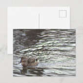 Postkarte (Vorne/Hinten)