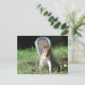 Postkarte (Stehend Vorderseite)