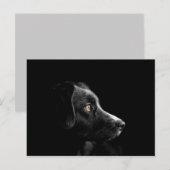 Postkarte (Vorne/Hinten)