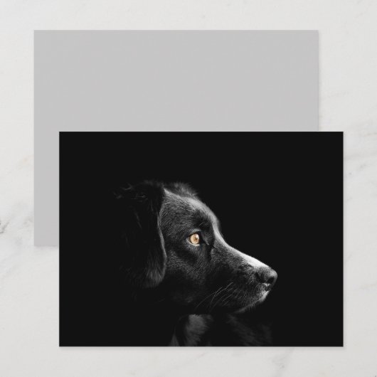 Postkarte (Vorne/Hinten)