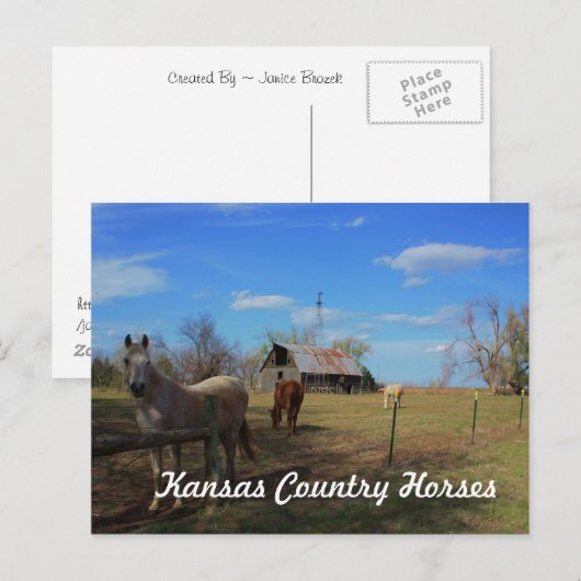 Postkarte (Vorne/Hinten)