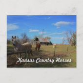 Postkarte (Vorderseite)