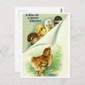 Postkarte (Vorne/Hinten)