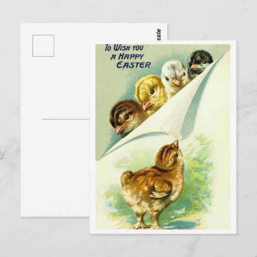 Postkarte (Vorne/Hinten)