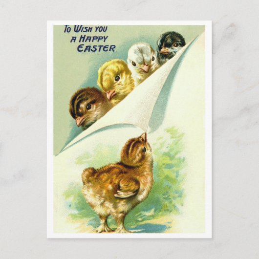 Postkarte (Vorderseite)