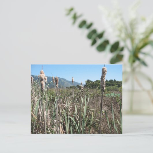 Postkarte (Stehend Vorderseite)