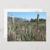 Postkarte (Vorne/Hinten)