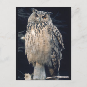 Postkarte