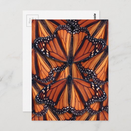 Postkarte (Vorne/Hinten)