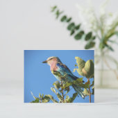 Postkarte (Stehend Vorderseite)