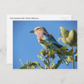 Postkarte (Vorne/Hinten)