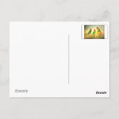 Postkarte (Rückseite)