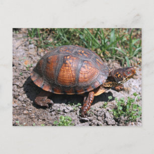 Postkarte