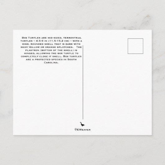 Postkarte (Rückseite)