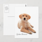 Postkarte (Vorne/Hinten)