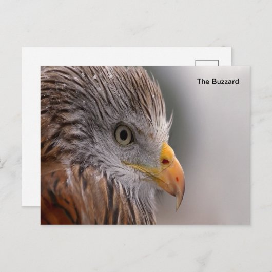 Postkarte (Vorne/Hinten)